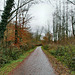 Wanderweg im Lottental (Bochum-Querenburg) / 7.12.2019