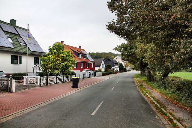 Kamener Straße (Bönen-Flierich) / 9.10.2023