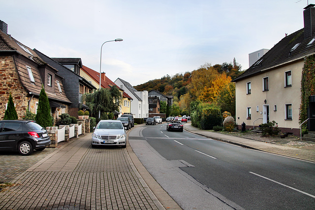 Werdener Straße (Essen-Kettwig) / 1.11.2023