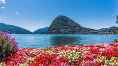 Parco Ciani ... P.i.P.  (© Buelipix)