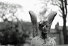 4 Angel 35mm f2