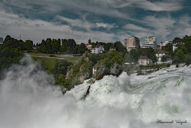 Am Rheinfall 8.07.2016