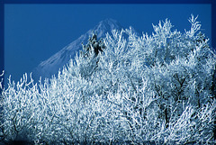 Winter (earlier) in Allgäu... ©UdoSm