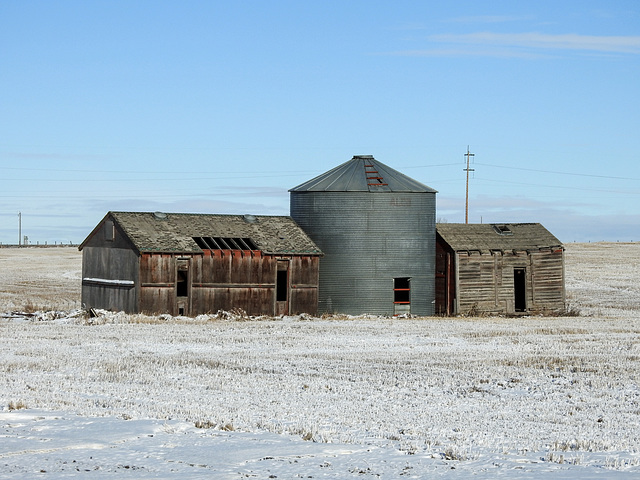 A shed on both sides