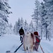 in an open sleigh