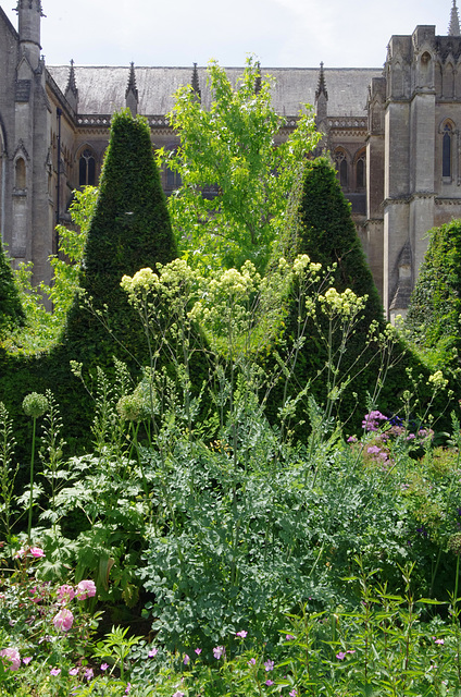 Thalictrum, topiary, sweetgum tree, cathedral