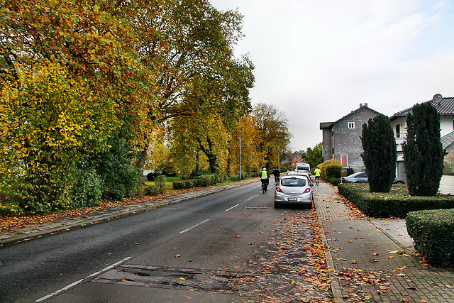 Werdener Straße (Essen-Kettwig) / 1.11.2023