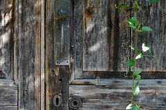 Courtyard Door, Lacock Abbey