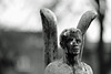 5 Angel 56mm f1.2