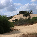 Sand dunes of Caesarea