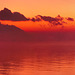 Red  Banner