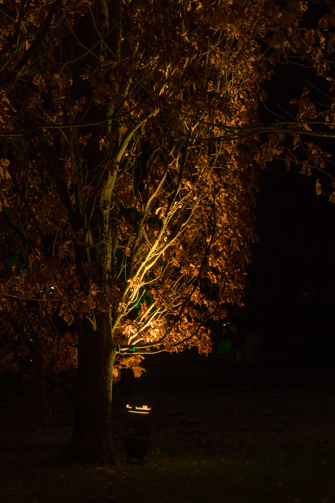 Dortmund Winterleuchten 2014/15 DSC08688