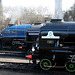 Pacific Line Up Barrow Hill Roundhouse 5th April 2009