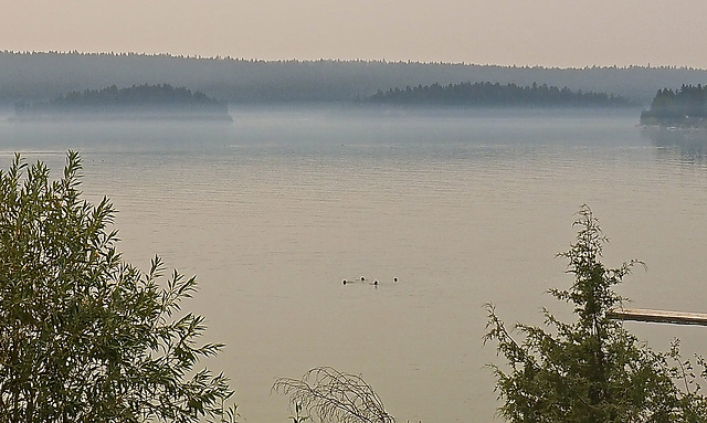 People swimming.