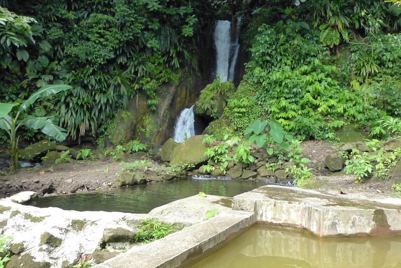 Papillote Tropical Gardens