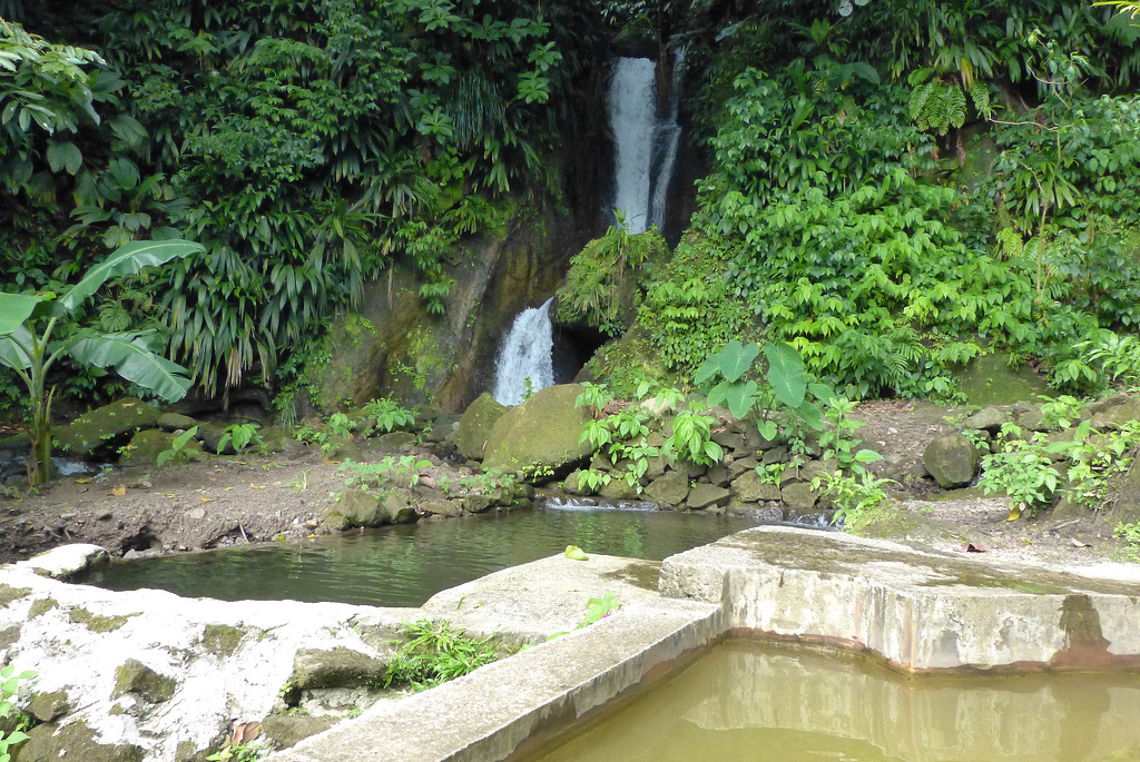 Papillote Tropical Gardens