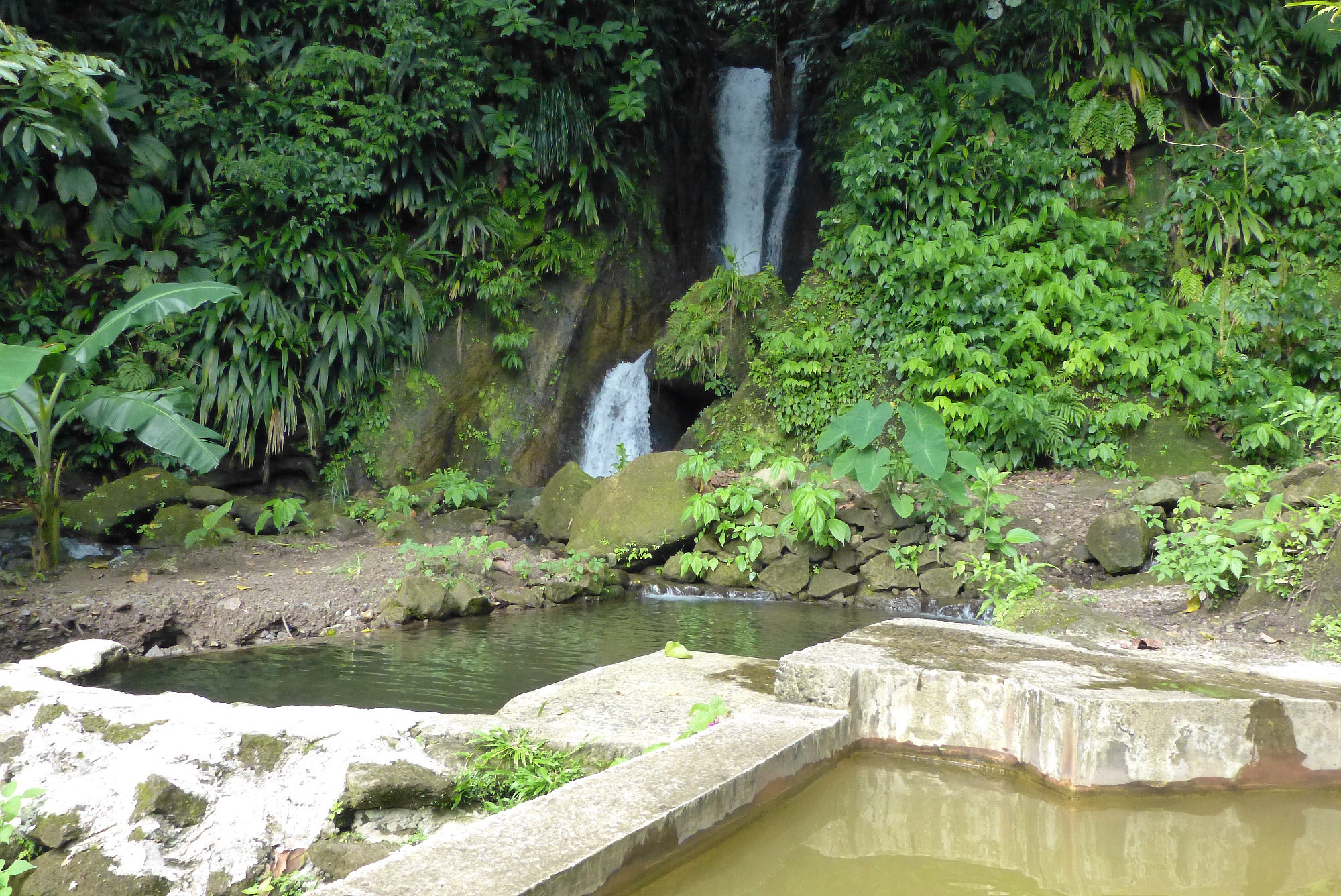 Papillote Tropical Gardens