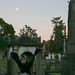 Cemetery surprise with moon