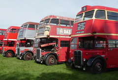 Former London Transport selection at Showbus 50 - 25 Sep 2022 (P1130420)