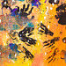 fingerprint