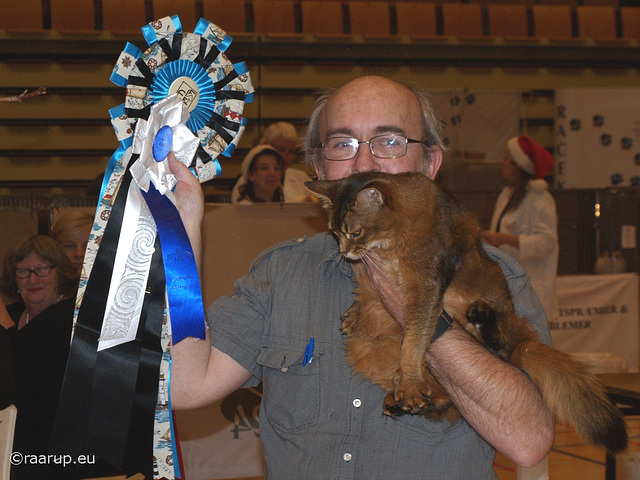 Rosettes from federation and club