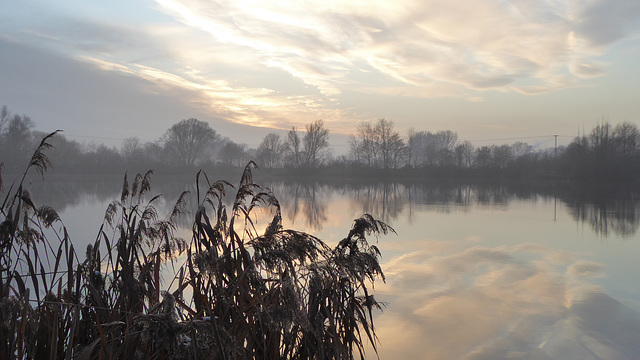 Neuhofen/Pfalz - Abendstimmung am Weiher