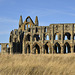 Whitby Abbey Church from the south (3 x PiPs)