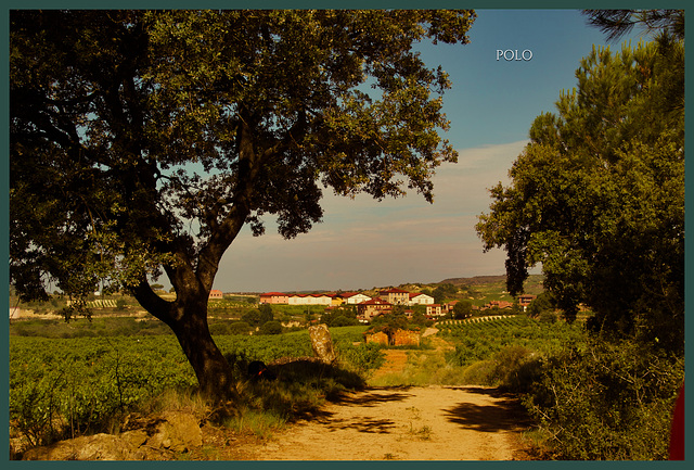 Villabuena de Álava