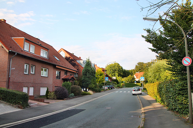 An der Palmweide (Dortmund-Barop) / 20.08.2021