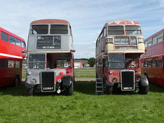 Former London Transport RTW/RTL at Showbus 50 - 25 Sep 2022 (P1130422)
