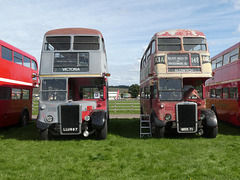 Former London Transport RTW/RTL at Showbus 50 - 25 Sep 2022 (P1130422)