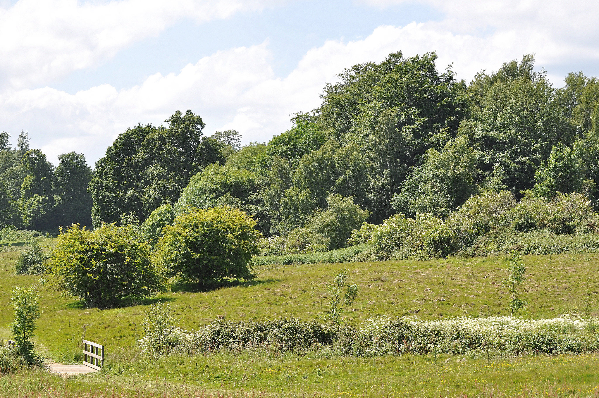 Hastings Battleground