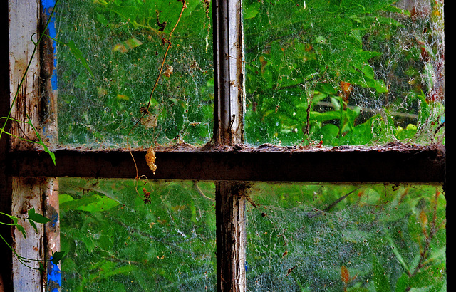 Garage Windows