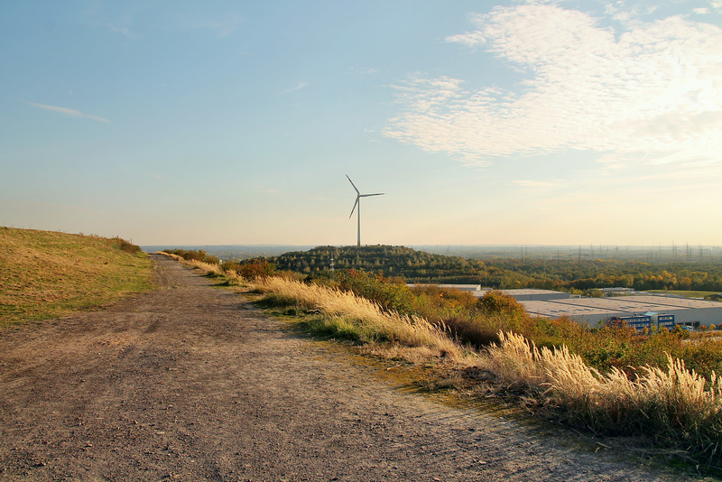 Blick Richtung Halde Hoppenbruch (Halde Hoheward, Herten) / 15.10.2018