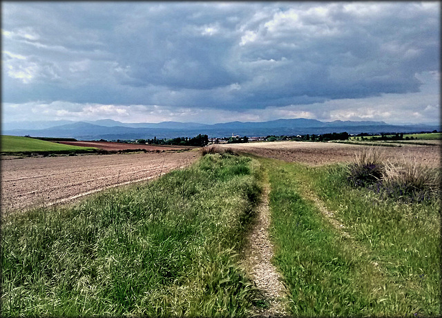 Between Algete and Fuente el Saz de Jarama. 20 minutes drive away from the centre of Madrid! Unimaginable in London, but here everyone lives in flats and so the countryside starts very suddenly and cl