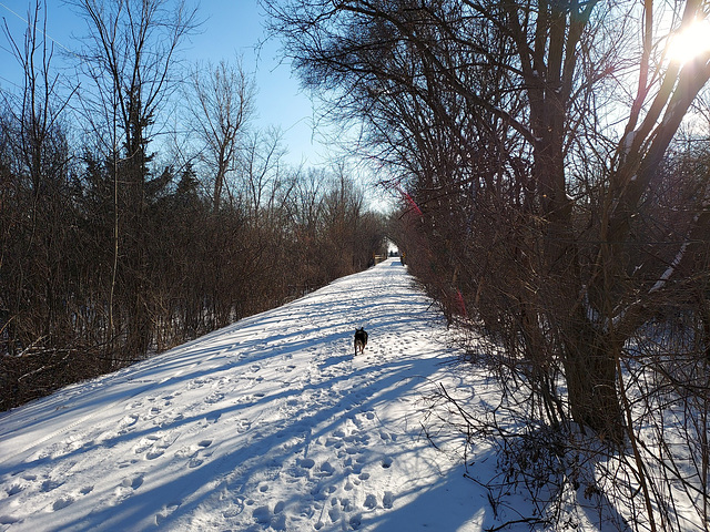 Still winter in Michigan.