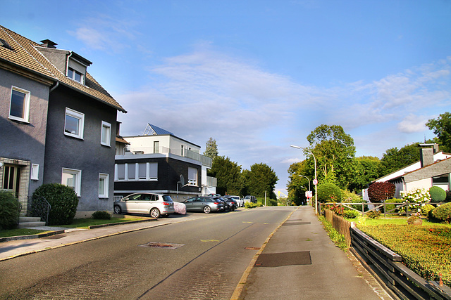 An der Palmweide (Dortmund-Barop) / 20.08.2021