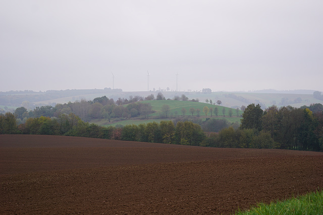 Bei Hörden