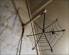 11SH A spider web