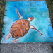 Pandemic chalk: Sea Turtle 1