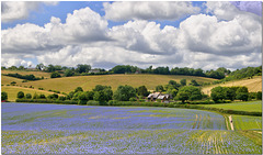 Chiltern Landscape