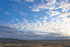 Cypress Hills by afternoon light