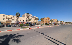 Ombre de cocotier sur asphalte / Coconut tree shadow on asphalt