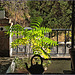 Granada El Albaicin