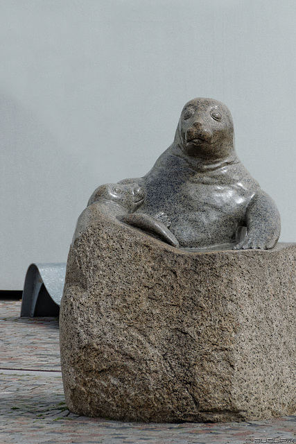 beim Ozeaneum Stralsund (© Buelipix)