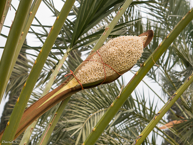 P1020389