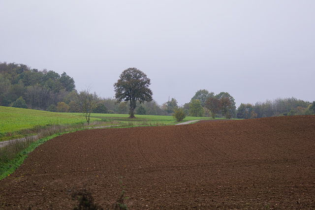 Wanderweg bei Hörden