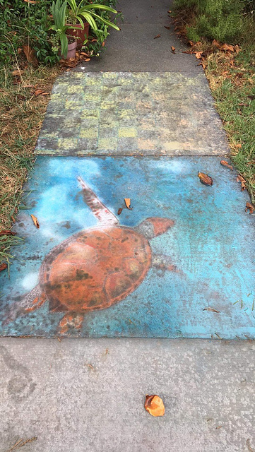 Pandemic chalk: Sea Turtle 2