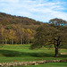 Golfers golfing