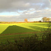 View over Gnosall fields